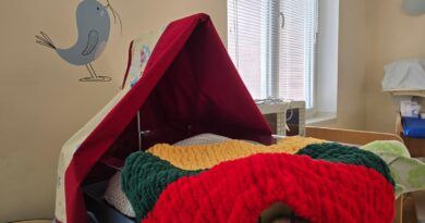 Sausio 13-ąją patikėta gyvybės langeliui: naujagimė trispalviame pleduke