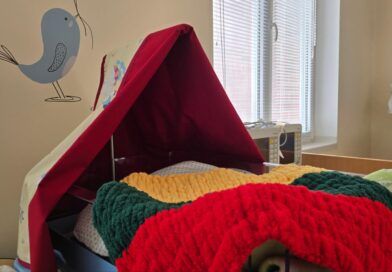 Sausio 13-ąją patikėta gyvybės langeliui: naujagimė trispalviame pleduke