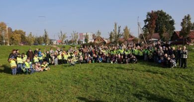 Šiauliuose jau trečią kartą sužaliavo pirmokų medeliai