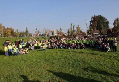 Šiauliuose jau trečią kartą sužaliavo pirmokų medeliai