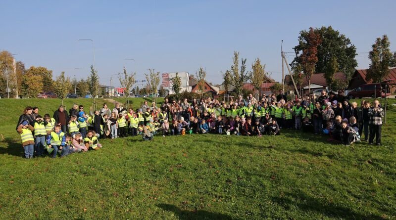 Šiauliuose jau trečią kartą sužaliavo pirmokų medeliai